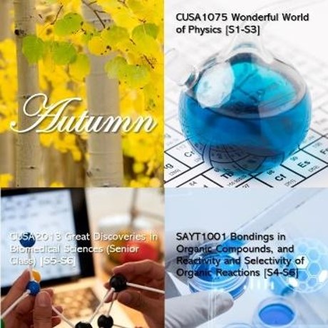 SAYT Autumn Courses 2023