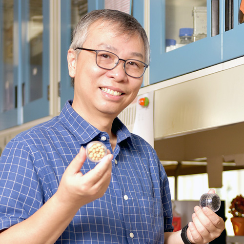 Professor LAM Hon Ming (School of Life Sciences)
